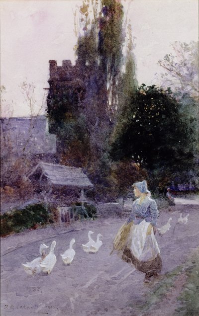 The Goose Girl by James Mackay